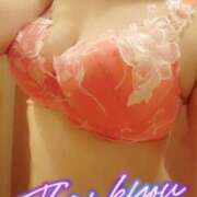 ヒメ日記 2025/03/14 07:40 投稿 そら 熟女総本店