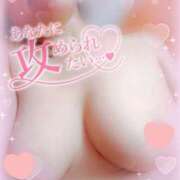 ヒメ日記 2025/04/04 08:15 投稿 そら 熟女総本店