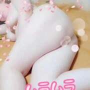 ヒメ日記 2025/04/07 11:35 投稿 そら 熟女総本店