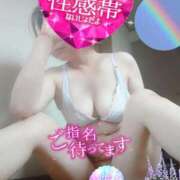 ヒメ日記 2025/09/21 12:25 投稿 そら 熟女総本店