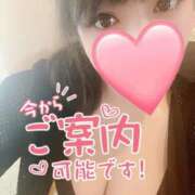 ヒメ日記 2024/12/24 20:41 投稿 なこ 即アポマダム～名古屋店～