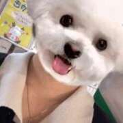 ヒメ日記 2025/02/12 04:30 投稿 しずく ハンドキャンパス新宿