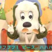 ヒメ日記 2025/03/23 06:08 投稿 しずく ハンドキャンパス新宿