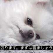 ヒメ日記 2025/03/30 06:26 投稿 しずく ハンドキャンパス新宿