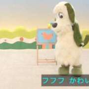 ヒメ日記 2025/04/11 06:14 投稿 しずく ハンドキャンパス新宿