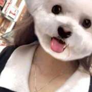 ヒメ日記 2025/05/07 07:38 投稿 しずく ハンドキャンパス新宿