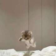 ヒメ日記 2025/06/24 00:15 投稿 しずく ハンドキャンパス新宿