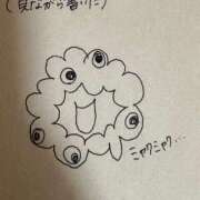 ヒメ日記 2025/10/03 08:20 投稿 るみ チューリップ姫路店