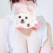 ヒメ日記 2025/03/19 12:40 投稿 まい ぷるりんクエスト上野浅草鶯谷秋葉原デリヘル王国