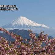 ヒメ日記 2025/03/11 09:17 投稿 いずみ 最高級 エロエロ奥様 松戸店