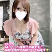 ヒメ日記 2024/12/17 11:45 投稿 雨宮ひとみ ハールブルク