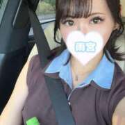 ヒメ日記 2025/08/30 21:00 投稿 雨宮ひとみ ハールブルク