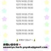 雨宮ひとみ 12月後半のシフトです ハールブルク