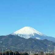雨宮ひとみ 悲しいかな… ハールブルク