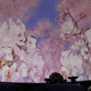 ヒメ日記 2025/03/10 23:31 投稿 りあ 池袋マリン本店