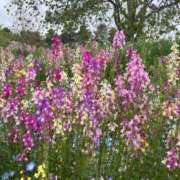 ヒメ日記 2025/05/04 10:35 投稿 りあ 池袋マリン本店