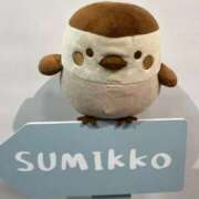 ヒメ日記 2025/11/12 05:07 投稿 りあ 池袋マリン本店