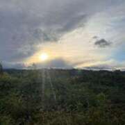 ヒメ日記 2025/12/01 04:46 投稿 りあ 池袋マリン本店