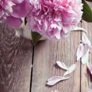 ヒメ日記 2026/02/24 16:48 投稿 はるな奥様 人妻です