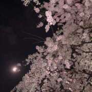 ヒメ日記 2025/04/09 00:16 投稿 セリナ 人妻生レンタル-石巻-