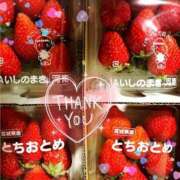 ヒメ日記 2025/05/25 17:26 投稿 セリナ 人妻生レンタル-石巻-