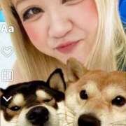 ヒメ日記 2026/02/11 20:12 投稿 のりか 香川サンキュー