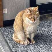 ヒメ日記 2026/03/04 11:12 投稿 のりか 香川サンキュー