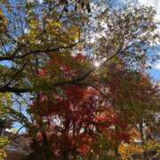 ヒメ日記 2025/11/12 12:04 投稿 ほむら 甲府人妻隊