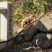 ヒメ日記 2025/12/04 20:02 投稿 ほむら 甲府人妻隊