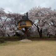 ヒメ日記 2026/04/17 08:00 投稿 ほむら 甲府人妻隊