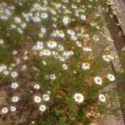 ヒメ日記 2025/03/10 22:48 投稿 ゆきの 小田原人妻城