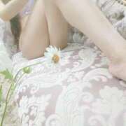 ヒメ日記 2025/04/24 20:48 投稿 ゆきの 小田原人妻城