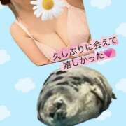 ヒメ日記 2025/09/19 12:53 投稿 あみ マダムハンズ神田店