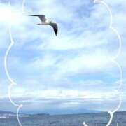 ヒメ日記 2025/01/18 11:56 投稿 あやの マダムハンズ神田店