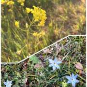 ヒメ日記 2025/03/11 15:52 投稿 あやの マダムハンズ神田店