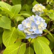 ヒメ日記 2025/06/29 12:34 投稿 あやの マダムハンズ神田店