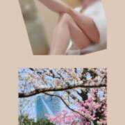 ヒメ日記 2025/03/29 13:42 投稿 すずか マダムハンズ神田店