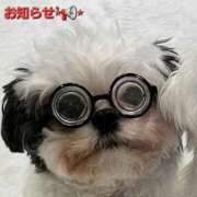 ヒメ日記 2025/01/17 14:04 投稿 まりほ 熟女の風俗最終章 八王子店