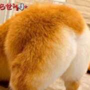 ヒメ日記 2025/01/19 18:17 投稿 まりほ 熟女の風俗最終章 八王子店