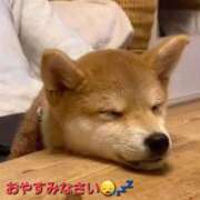 ヒメ日記 2025/02/13 04:43 投稿 まりほ 熟女の風俗最終章 八王子店