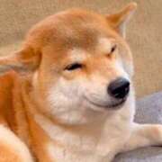 ヒメ日記 2025/03/31 12:56 投稿 まりほ 熟女の風俗最終章 八王子店