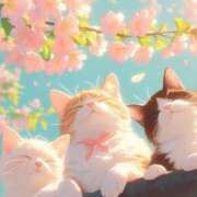 ヒメ日記 2025/04/04 09:06 投稿 まりほ 熟女の風俗最終章 八王子店