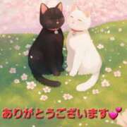 ヒメ日記 2025/04/09 09:12 投稿 まりほ 熟女の風俗最終章 八王子店