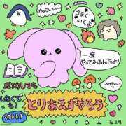 ヒメ日記 2025/05/12 10:53 投稿 まりほ 熟女の風俗最終章 八王子店