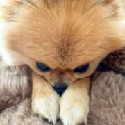 ヒメ日記 2025/05/25 09:53 投稿 まりほ 熟女の風俗最終章 八王子店