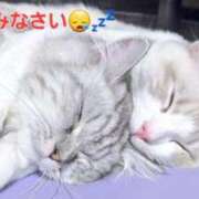 ヒメ日記 2024/12/20 04:33 投稿 まりほ 熟女の風俗最終章 所沢店