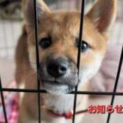 ヒメ日記 2025/01/05 04:43 投稿 まりほ 熟女の風俗最終章 所沢店