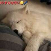 ヒメ日記 2025/01/05 04:47 投稿 まりほ 熟女の風俗最終章 所沢店