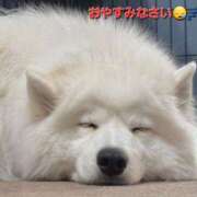 ヒメ日記 2025/01/06 04:33 投稿 まりほ 熟女の風俗最終章 所沢店