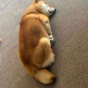 ヒメ日記 2025/02/12 04:43 投稿 まりほ 熟女の風俗最終章 所沢店